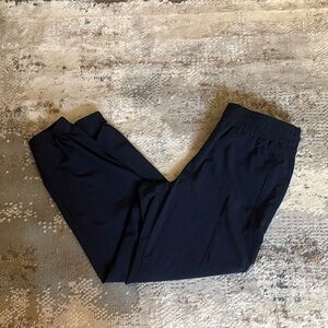 Banana Republic Navy Jogger Pants